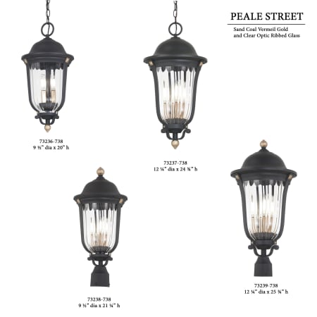 Peale Street Pendant / Post Collection